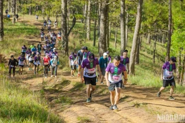 Gần 7.000 vận động viên tham gia Giải marathon Dalat Ultra Trail 2023