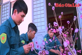 Đón xuân nơi biên giới