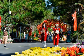 Các điểm du lịch nổi tiếng của Gia Lai tấp nập người du xuân