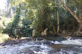 Trắng đêm canh giữ rừng ngày Tết