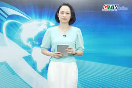 Gia Lai 24h: Kết nối, tiêu thụ sản phẩm, phát triển vùng trồng sâm và cây dược liệu