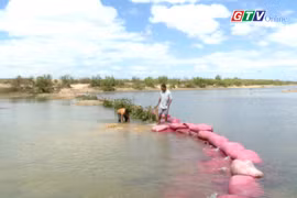 Sông Ba trơ đáy: Hàng trăm ha lúa đối mặt nguy cơ thiếu nước