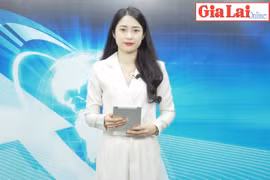 Gia Lai 48h: Thị trường bất động sản “hạ nhiệt”