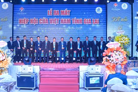 Ra mắt Hiệp hội Cửa Việt Nam tỉnh Gia Lai
