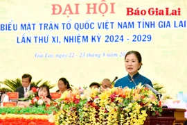 Gia Lai cần tập trung huy động, phát huy sức mạnh của các tầng lớp Nhân dân 