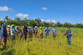 30 học viên người dân tộc thiểu số ở xã A Dơk được học nghề trồng chanh dây