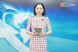 Gia Lai 24h: Phát triển sản xuất mía đường bền vững, hiệu quả