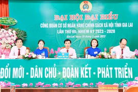Ngân hàng Chính sách xã hội Gia Lai phấn đấu có 17 đoàn viên ưu tú vào Đảng