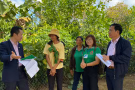 Kiểm tra tình hình thực hiện các chương trình tín dụng theo Nghị quyết số 11/NQ-CP tại Gia Lai