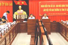 Đoàn Kiểm tra của Ban Nội chính Trung ương làm việc với Ban Thường vụ Tỉnh ủy Gia Lai