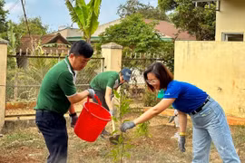 Trồng 100 cây xanh tại làng Ia Nueng