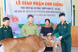 Trung đoàn Kinh tế- Quốc phòng 710: Hỗ trợ gần 1 tỷ đồng mua bò giống tặng người dân 
