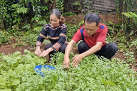 Rmah H’Byên: Nữ công nhân cao su tận tụy với nghề