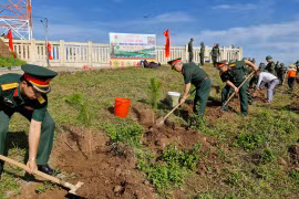 Binh đoàn 15 trồng hơn 4 ngàn cây thông 3 lá