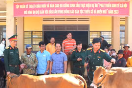 Công ty 72 hỗ trợ 38 con bò sinh sản cho người dân