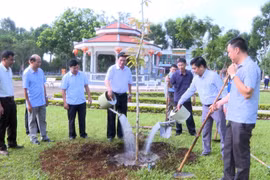 Chư Păh trồng 90.000 cây xanh phân tán