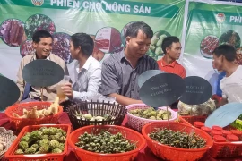 Mang Yang: Khai mạc phiên chợ nông sản lần thứ I năm 2023 