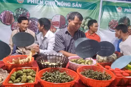 Mang Yang: Khai mạc phiên chợ nông sản lần thứ I năm 2023 