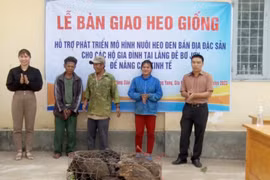Hỗ trợ heo giống sinh sản cho hộ có hoàn cảnh khó khăn tại xã Đak Jơ Ta 