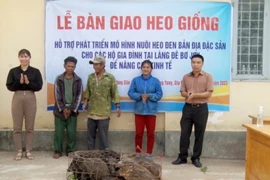 Hỗ trợ heo giống sinh sản cho hộ có hoàn cảnh khó khăn tại xã Đak Jơ Ta 