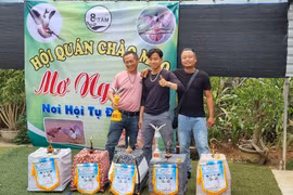 Hội thi giọng hót chim chào mào 