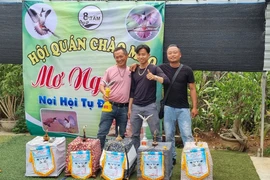 Hội thi giọng hót chim chào mào 