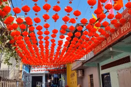 Rực rỡ sắc xuân trong những con hẻm ở Pleiku