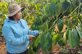 Hàng ngàn nông dân Đức Cơ thoát nghèo nhờ vốn vay ưu đãi