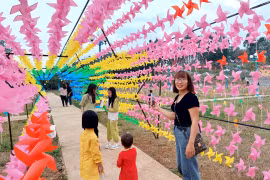 Vườn chong chóng đầy màu sắc tại Khu di tích lịch sử Chiến thắng Chư Ty