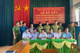 Mang Yang ký kết quy chế phối hợp quản lý, bảo vệ rừng giáp ranh 