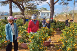 Chợ hoa Pleiku chiều 30 Tết: Giảm giá, ít người mua