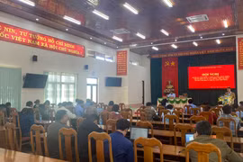  Mang Yang phấn đấu đến năm 2025, diện tích trồng rau khoảng 370 ha, cây ăn quả 3.380 ha 