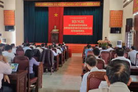 Chư Păh: Phấn đấu tốc độ tăng trưởng giá trị sản xuất năm 2024 đạt 9,5% trở lên