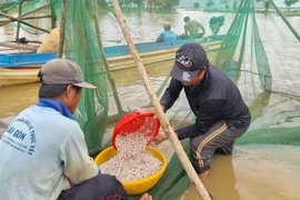 Mưu sinh bên lòng hồ thủy lợi Ia Mơr