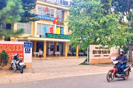 Kiến nghị kiểm điểm trách nhiệm giám đốc Trung tâm Y tế Pleiku qua các thời kỳ