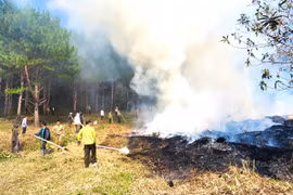 Xác định 4 vùng trọng điểm dễ xảy ra cháy rừng