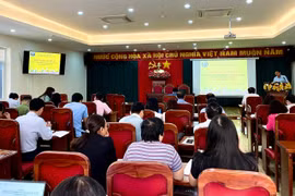 Tập huấn biểu mẫu báo cáo thống kê cấp tỉnh