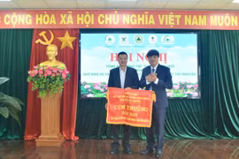 Tây Nguyên thu tiền dịch vụ môi trường rừng hơn 1.000 tỷ đồng