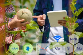 Lao động phổ thông trẻ sử dụng thành thạo công cụ AI