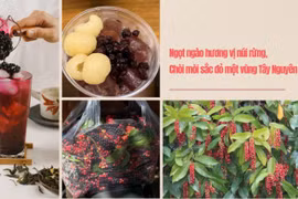 Trà chòi mòi lưu giữ hương vị Tây Nguyên