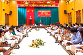 Trong 6 tháng đầu năm thị xã An Khê kết nạp được 36 đảng viên. Ảnh: Ngọc Minh