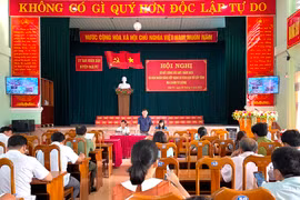 Đak Pơ gieo trồng hơn 7.260 ha cây trồng vụ Đông-Xuân 