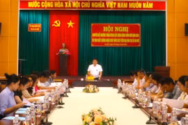 An Khê phấn đấu cuối năm 2024 có 1 xã đạt chuẩn nông thôn mới nâng cao