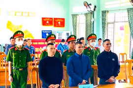 3 đối tượng trộm bò lãnh án