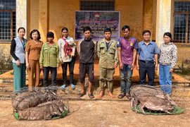 Trao heo giống sinh sản cho hộ khó khăn tại xã Đak Ta Ley và Đak Djrăng 