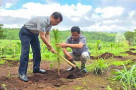 Pleiku phát động “Tết trồng cây đời đời nhớ ơn Bác Hồ” 