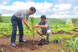 Pleiku phát động “Tết trồng cây đời đời nhớ ơn Bác Hồ” 