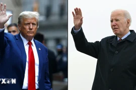 Bầu cử Mỹ 2024: Tổng thống Joe Biden đang dẫn trước ông Trump 2 điểm %