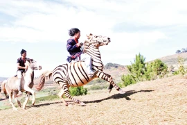 Vó ngựa cao nguyên