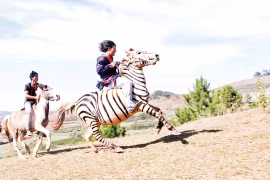 Vó ngựa cao nguyên